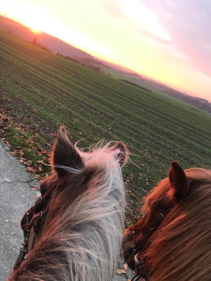 Landhof Lieg - Tierische Auszeit In Unseren Gemuetlichen Ferienwohnungen Exterior foto