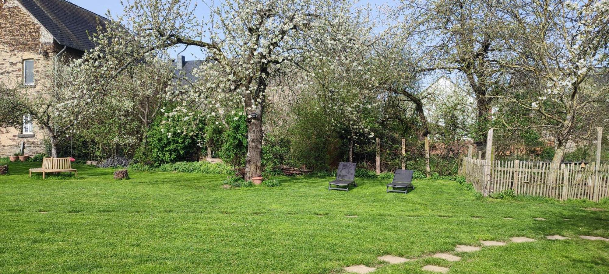 Landhof Lieg - Tierische Auszeit In Unseren Gemuetlichen Ferienwohnungen Exterior foto