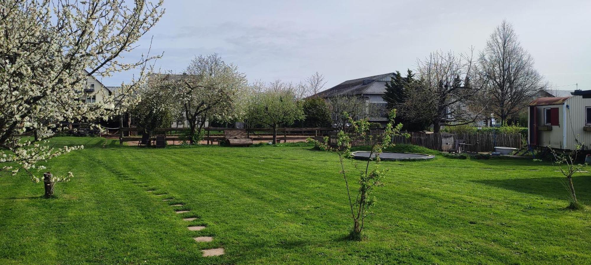 Landhof Lieg - Tierische Auszeit In Unseren Gemuetlichen Ferienwohnungen Exterior foto