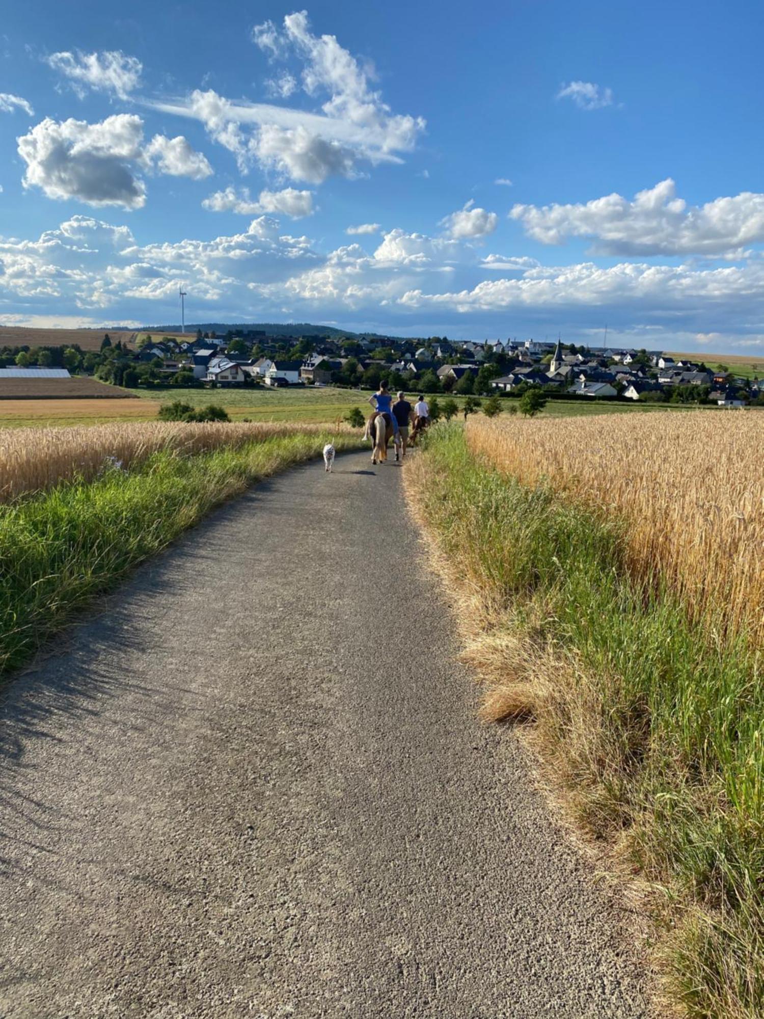 Landhof Lieg - Tierische Auszeit In Unseren Gemuetlichen Ferienwohnungen Exterior foto